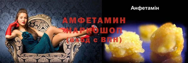 скорость Новозыбков
