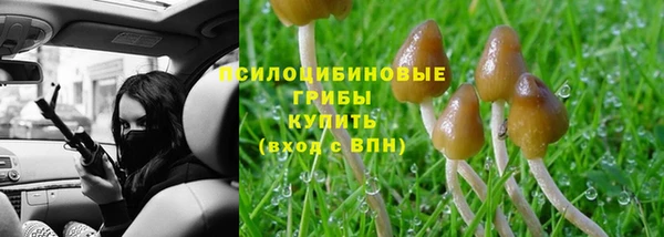 а пвп мука Аша